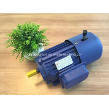 Yej Series Three Phase AC Induction Electromagnetic Brake Motor